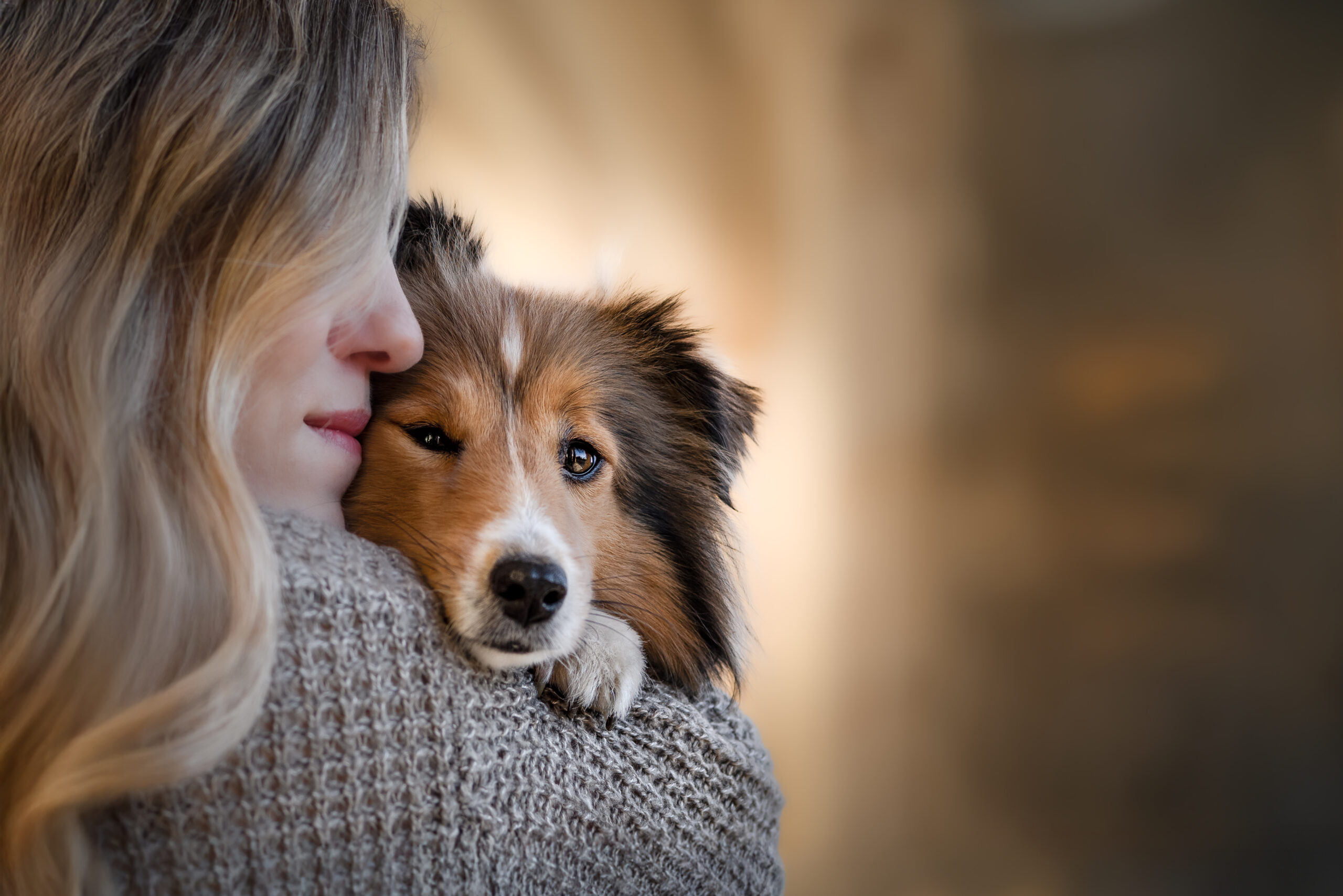 Melanie Meister – Hundefotografie
